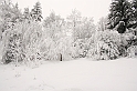 Bieszczady 12.2007 002